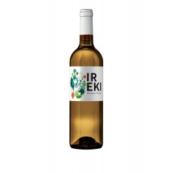 Vin blanc irouleguy 2022 bio